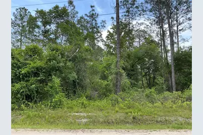 10730 Beckenger Avenue, Hastings, FL 32145 - Photo 1