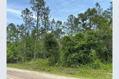 10730 Beckenger Avenue, Hastings, FL 32145 - Photo 3