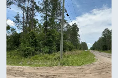 10730 Beckenger Avenue, Hastings, FL 32145 - Photo 5