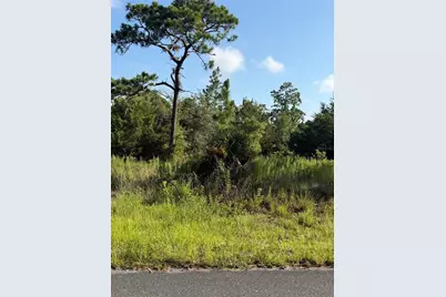 35th Street, Morriston, FL 32668 - Photo 3