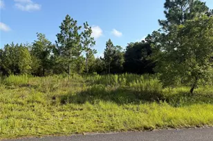 35th St, Morriston, FL 32668 - Photo 1