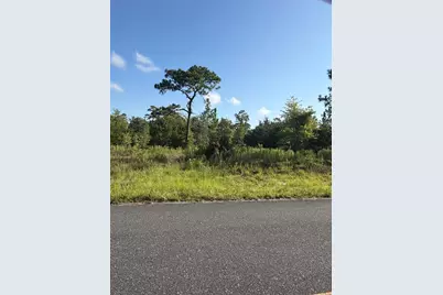 35th Street, Morriston, FL 32668 - Photo 5