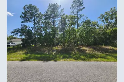 9712 N Lovell Dr, Dunnellon, FL 34433 - Photo 1