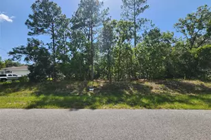 9712 N Lovell Dr, Dunnellon, FL 34433 - Photo 1