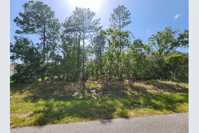 9712 N Lovell Dr, Dunnellon, FL 34433 - Photo 3