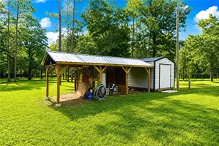 13711 NE 8 St, Williston, FL 32696 - Photo 13