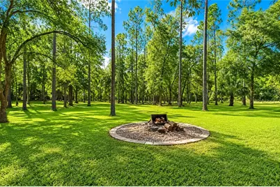 13711 NE 8th Street, Williston, FL 32696 - Photo 15