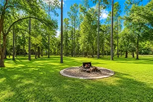 13711 NE 8 St, Williston, FL 32696 - Photo 15