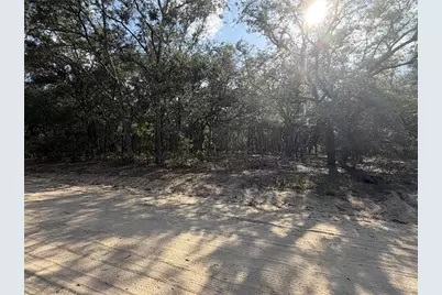 103 SW 53rd Avenue, Interlachen, FL 32148 - Photo 5