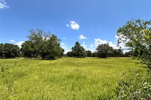265 SW Skyline Loop, Fort White, FL 32038 - Photo 33