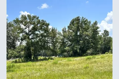 265 SW Skyline Loop, Fort White, FL 32038 - Photo 19