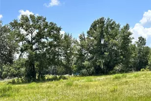 265 SW Skyline Loop, Fort White, FL 32038 - Photo 19