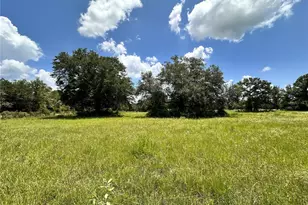 265 SW Skyline Loop, Fort White, FL 32038 - Photo 39