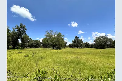 265 SW Skyline Loop, Fort White, FL 32038 - Photo 33