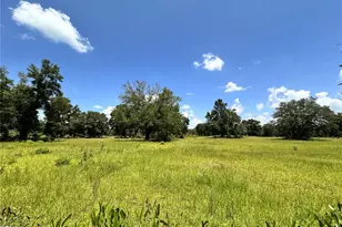 265 SW Skyline Loop, Fort White, FL 32038 - Photo 33