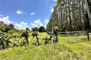 265 SW Skyline Loop, Fort White, FL 32038 - Photo 57