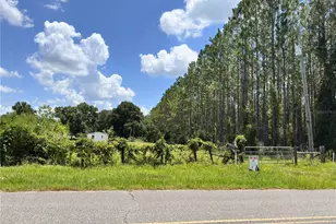 265 SW Skyline Loop, Fort White, FL 32038 - Photo 37