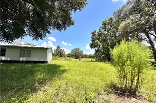 265 SW Skyline Loop, Fort White, FL 32038 - Photo 5