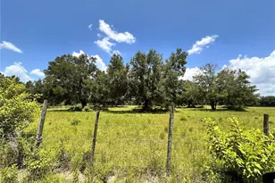 265 SW Skyline Loop, Fort White, FL 32038 - Photo 35