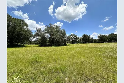 265 SW Skyline Loop, Fort White, FL 32038 - Photo 3