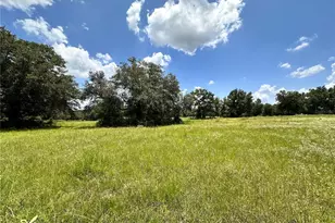 265 SW Skyline Loop, Fort White, FL 32038 - Photo 3