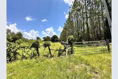 265 SW Skyline Loop, Fort White, FL 32038 - Photo 59