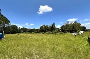 265 SW Skyline Loop, Fort White, FL 32038 - Photo 7