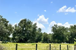 265 SW Skyline Loop, Fort White, FL 32038 - Photo 17
