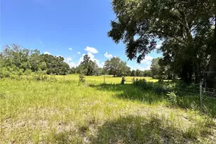 265 SW Skyline Loop, Fort White, FL 32038 - Photo 53