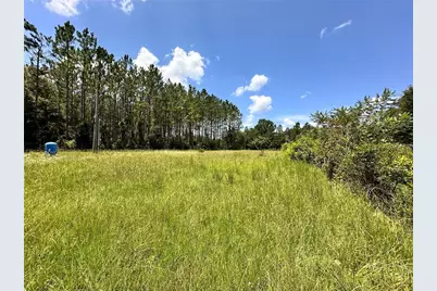 265 SW Skyline Loop, Fort White, FL 32038 - Photo 11