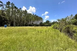 265 SW Skyline Loop, Fort White, FL 32038 - Photo 11