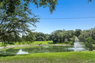 211 S Davis St, Beverly Hills, FL 34465 - Photo 43