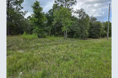 0000 SE State Road 121, Williston, FL 32696 - Photo 1