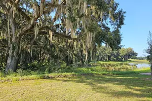 8716 Barragan Dr, Wildwood, FL 34785 - Photo 21
