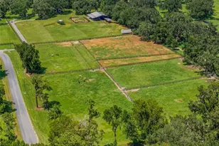 3875 SE 118th Ln, Belleview, FL 34420 - Photo 61