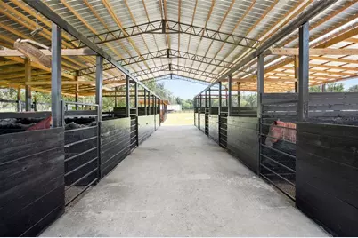 3875 SE 118th Lane, Belleview, FL 34420 - Photo 3