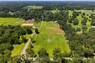 3875 SE 118th Ln, Belleview, FL 34420 - Photo 55