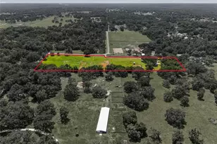 3875 SE 118th Ln, Belleview, FL 34420 - Photo 11
