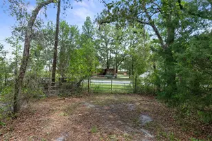 6463 W Park Dr, Homosassa, FL 34446 - Photo 29
