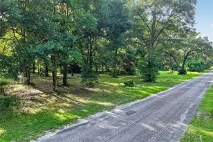 18741 N US Hwy 301, Citra, FL 32113 - Photo 13