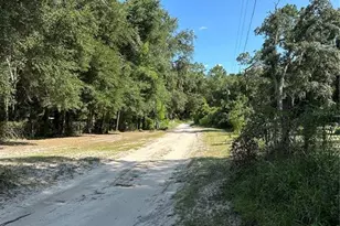 11882 SW 58th St, Webster, FL 33597 - Photo 25