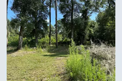 11882 SW 58th Street, Webster, FL 33597 - Photo 21