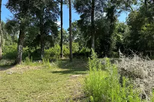11882 SW 58th St, Webster, FL 33597 - Photo 21