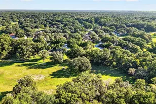 19666 SW 88th Loop, Dunnellon, FL 34432 - Photo 51