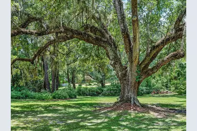 4200 SW 7th Ave Road, Ocala, FL 34471 - Photo 55