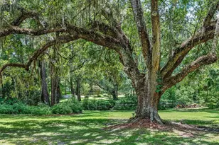 4200 SW 7th Avenue Rd, Ocala, FL 34471 - Photo 55