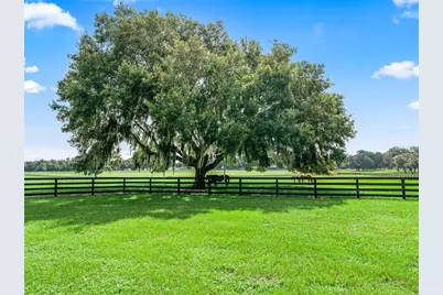 15351 SE 57th Terrace, Summerfield, FL 34491 - Photo 5