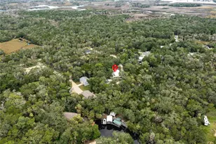 11720 W North Pl, Homosassa, FL 34448 - Photo 57