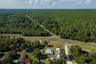 16490 E Hwy 316, Fort Mc Coy, FL 32134 - Photo 3