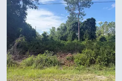 Tbd Malauka Terrace, Ocklawaha, FL 32179 - Photo 1